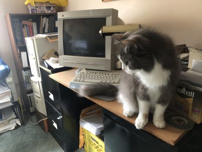 Finnigan on desk with old computer IMG_5239